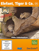 Film: Elefant, Tiger & Co. - Teil 31 [2 DVDs]