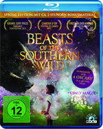 Film: Beasts of the Southern Wild [SE]