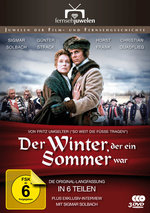 Film: Der Winter, der ein Sommer war [4 DVDs]