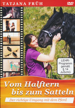 Film: Vom Halftern bis zum Satteln