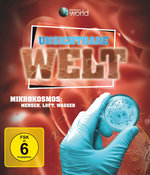 Film: Die unsichtbare Welt