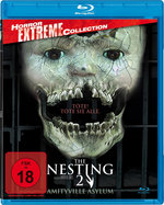 Film: The Nesting 2 - Amityville Asylum