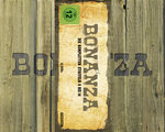 Film: Bonanza Sammelbox 2 - Staffel 8-14