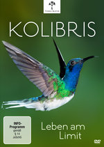 Film: Kolibris - Leben am Limit