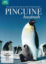 Film: Pinguine Hautnah