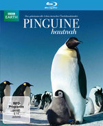 Film: Pinguine Hautnah