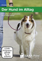 Film: Der Hund im Alltag