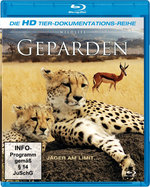 Film: Geparden - Blutsbrüder/Raubtiere in Gefahr