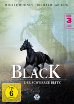 Film: Black - Der schwarze Blitz - Box 3 [4 DVDs]