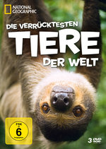 Film: Die verrücktesten... - Box - N.G. [3 DVDs]