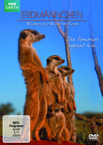 Film: Erdmännchen - Wächter der Wüste im Team