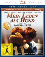 Film: Mein Leben als Hund - KSM Klassiker [LE]