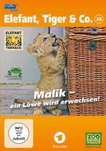 Film: Elefant, Tiger & Co. - Teil 38 [2 DVDs]