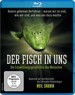 Film: Der Fisch in uns - Die Entwicklungsgeschichte...