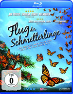 Film: Flug der Schmetterlinge
