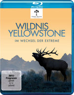 Film: Wildnis Yellowstone - Im Wechsel der Extreme
