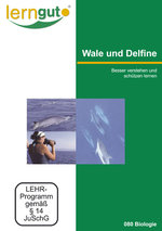 Film: Wale und Delfine besser verstehen und schützen..