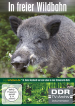 Film: In freier Wildbahn [3 DVDs]