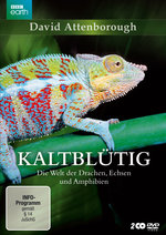 Film: Kaltblütig - Die Welt der Drachen, ... [2 DVDs]