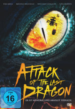 Film: Attack of the Last Dragon