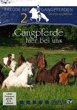 Film: Gangpferde hier bei uns