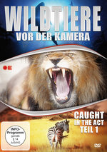 Film: Wildtiere vor der Kamera - Caught in the Act 1