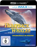 Film: Humpback Whales