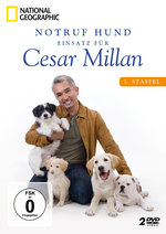 Film: Notruf Hund - Einsatz für Cesar/St. 3 [2 DVDs]