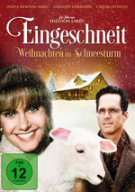 Film: Eingeschneit - Weihnachten im Schneesturm
