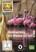 Film: Elefant, Tiger & Co. - Teil 42 - Haidewitzka...