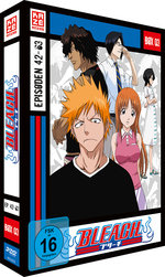 Film: Bleach TV-Serie - Box 3 DVD [3 DVDs]