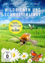 Film: Wildbienen und Schmetterlinge