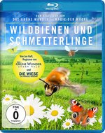 Film: Wildbienen und Schmetterlinge