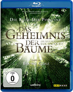 Film: Das Geheimnis der Bäume