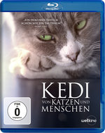 Film: Kedi - Von Katzen und Menschen