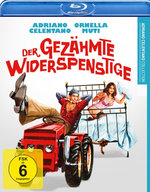 Film: Der gezähmte Widerspenstige