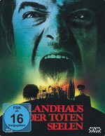 Film: Landhaus der toten Seelen