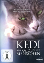 Film: Kedi - Von Katzen und Menschen