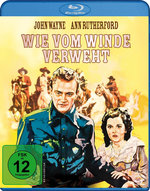 Film: Wie vom Winde verweht
