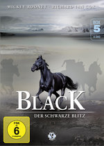 Film: Black - Der schwarze Blitz 5 [4 DVDs]