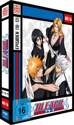Film: Bleach TV-Serie - Box 6 DVD [4 DVDs]