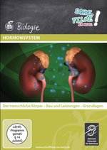 Film: Hormonsystem