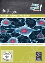 Film: Nervensystem des Menschen