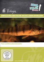 Film: Anpassung der Fische an das Leben im Wasser