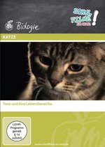 Film: Katze