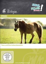 Film: Pferd