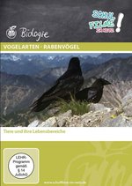 Film: Vogelarten - Rabenvögel