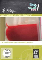 Film: Blutgruppen und Rhesus-Faktor