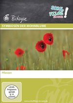 Film: Symbiosen der Mohnblume