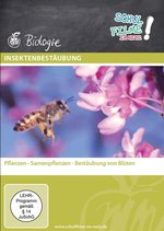 Film: Insektenbestäubung